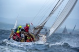 scintilla of the sea 920y whyw25 750_4483